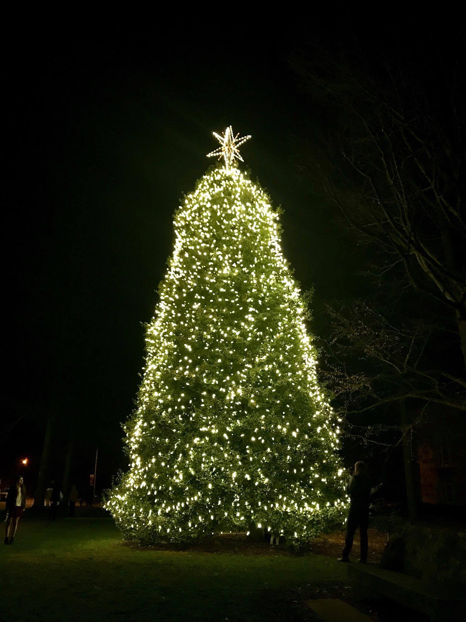 Lessons & Carols in Sewanee, Tennessee Milano To Chicago